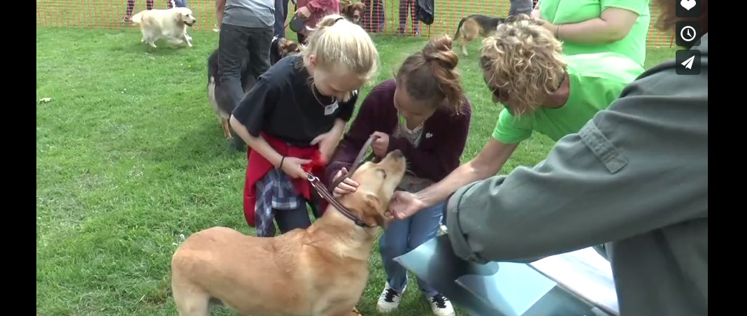 40: PAWS FOR THOUGHT DOG SHOW